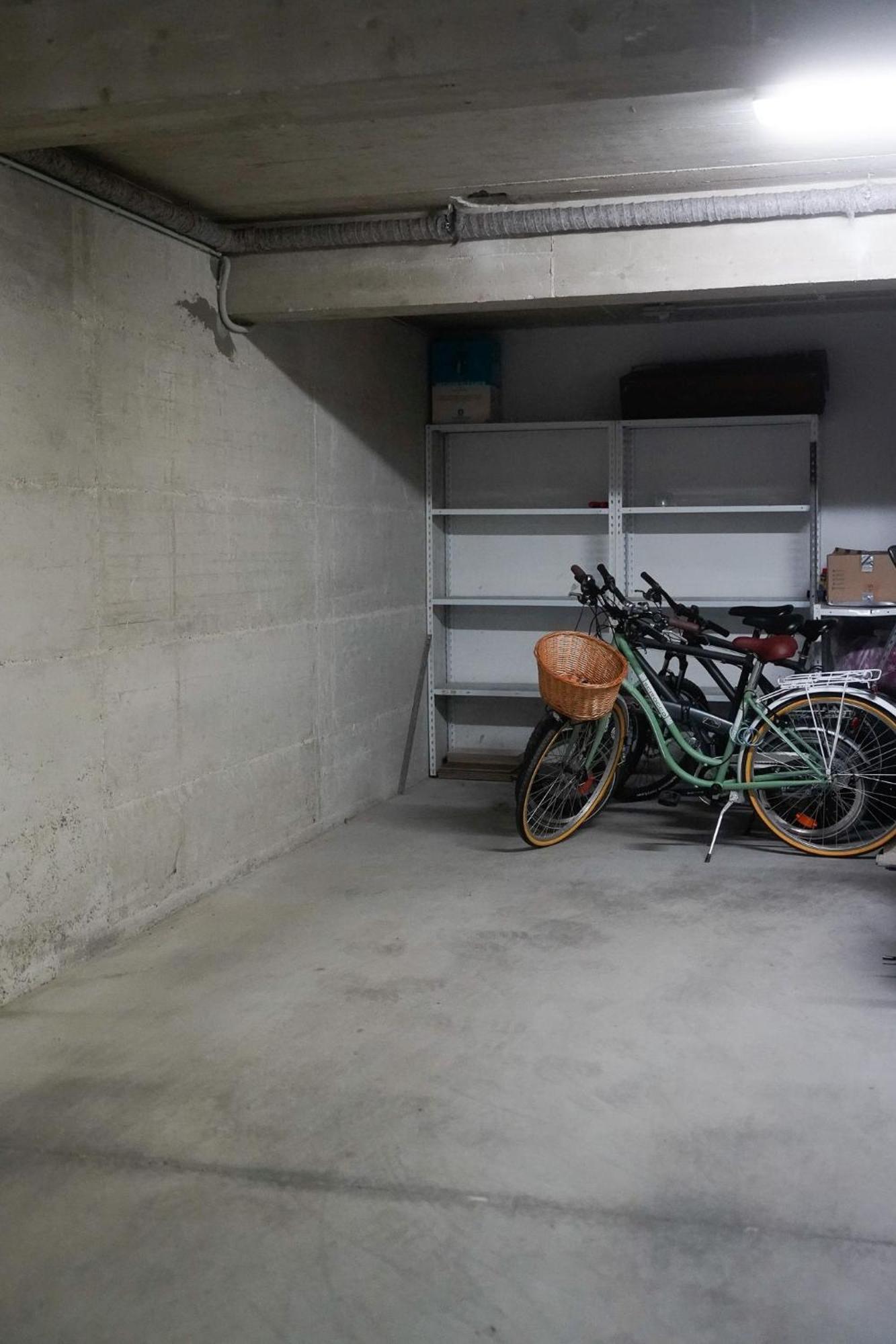 Dandelion Apartment Rovinj-Free Bikes Exterior foto